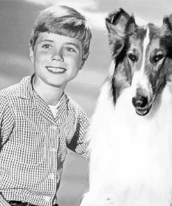 Jon Provost And Lassie paint by number