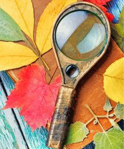 Magnifying Glass And Leaves paint by number