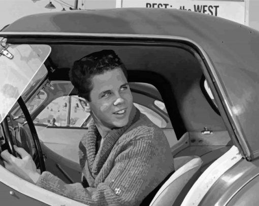 Vintage Tony Dow paint by number