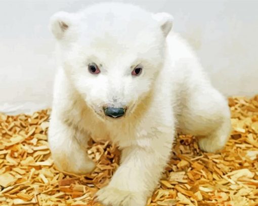 White Baby Bear paint by number