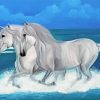 White Horses On The Beach paint by number