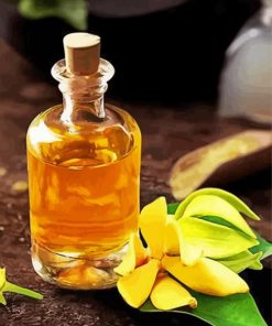 Ylang Ylang Oil paint by number