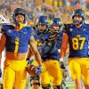 California Golden Bears Football Paint By Numbers