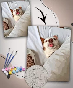 Custom Paint By Numbers​ Pets