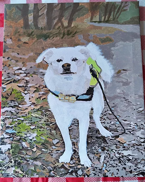 Custom Paint By Numbers​ Pets Rev 3